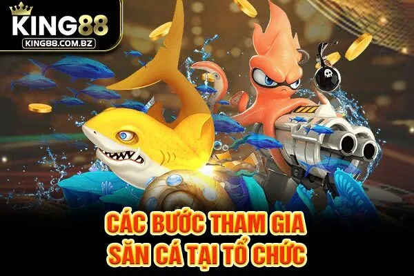 Các bước tham gia săn cá tại tổ chức