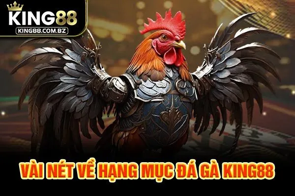 Vài nét về hạng mục đá gà King88